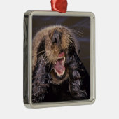 ウミガメ、エンヒドラルトリス6 メタルオーナメント (右)