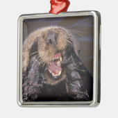 ウミガメ、エンヒドラルトリス6 メタルオーナメント (左)