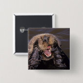 ウミガメ、エンヒドラルトリス6 缶バッジ (正面&裏面)