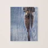 ウミガメ・エンヒドラルトリス ジグソーパズル (縦)