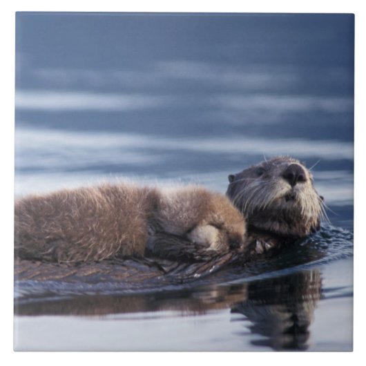 ウミガメ・エンヒドラルトリス タイル (正面)