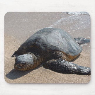 ウミガメ-オアフハワイ マウスパッド