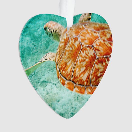 ウミガメ オーナメント (正面)