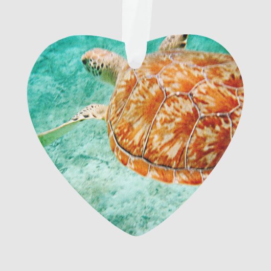 ウミガメ オーナメント (裏面)