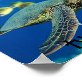 ウミガメ…カメ！ ポスター (角)