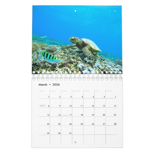 ウミガメ カレンダー (3月 2026)