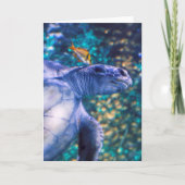 ウミガメ カード (正面)