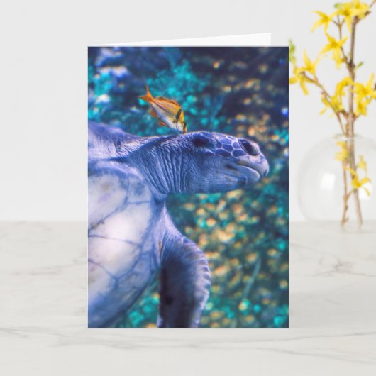 ウミガメ カード (黄色い花)