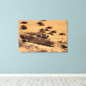 ウミガメ キャンバスプリント (インサイチュ (ウッドフロア))