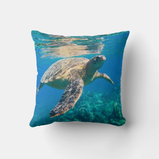 ウミガメ クッション (裏面)