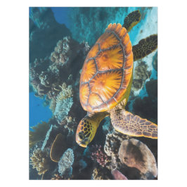 ウミガメ サンゴ礁 水中 テーブルクロス
