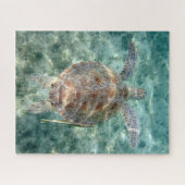 ウミガメ ジグソーパズル (横)