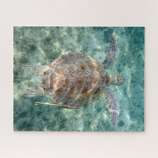 ウミガメ ジグソーパズル (横)