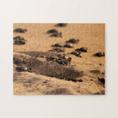 ウミガメ ジグソーパズル (横)