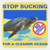 ウミガメ スクエアシール (正面)