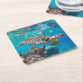 ウミガメ スクエアペーパーコースター (アングル)