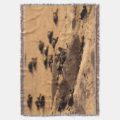 ウミガメ スローブランケット (正面縦)