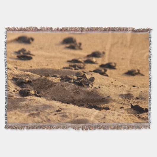 ウミガメ スローブランケット (正面)