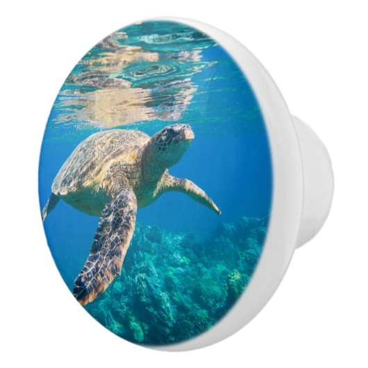 ウミガメ セラミックノブ (右)