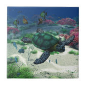 ウミガメ タイル (正面)