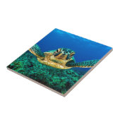 ウミガメ タイル (側面)