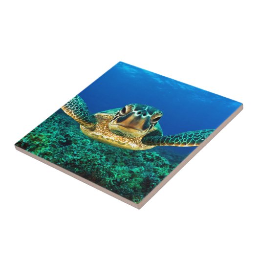ウミガメ タイル (側面)