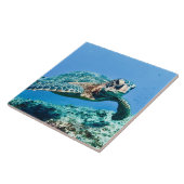 ウミガメ タイル (側面)