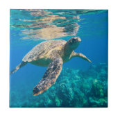 ウミガメ タイル (正面)