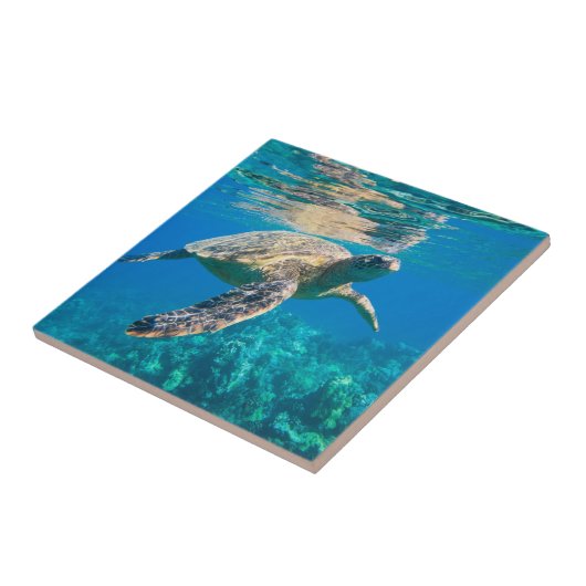 ウミガメ タイル (側面)