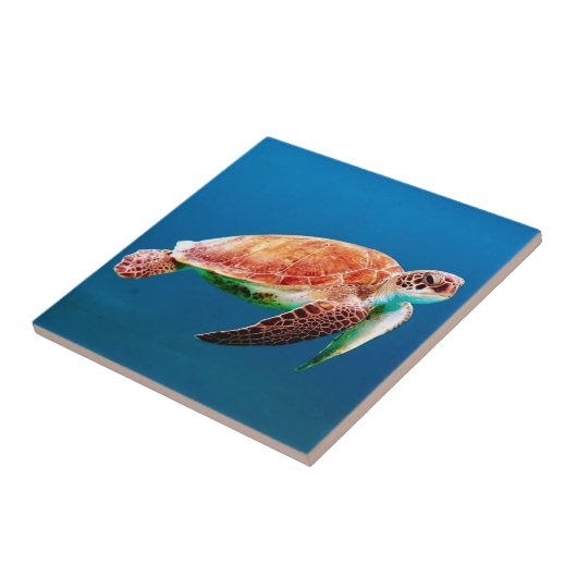 ウミガメ タイル (側面)