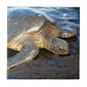 ウミガメ タイル (正面)