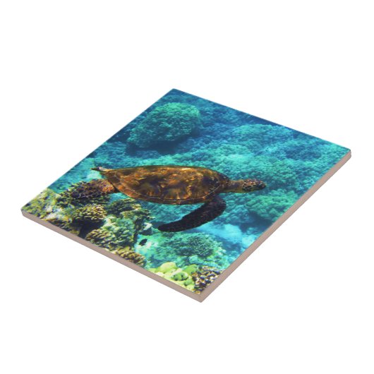 ウミガメ タイル (側面)