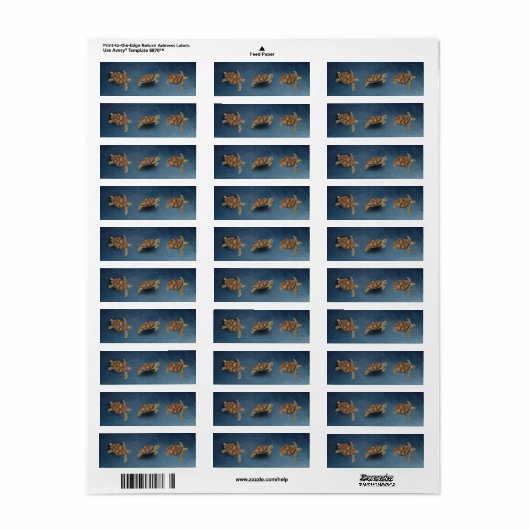 ウミガメ・トリオ ラベル (フルシート)