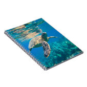 ウミガメ ノートブック (右側)