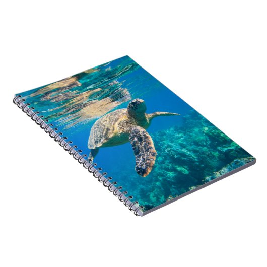 ウミガメ ノートブック (右側)