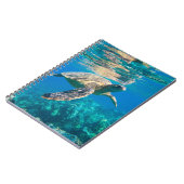 ウミガメ ノートブック (左側)