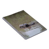 ウミガメ ノートブック (右側)