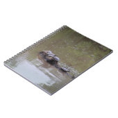 ウミガメ ノートブック (左側)