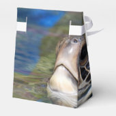 ウミガメ フェイバーボックス (裏面サイド)