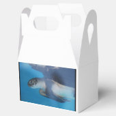 ウミガメ フェイバーボックス (オープン)