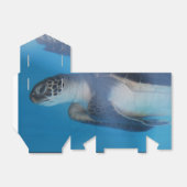 ウミガメ フェイバーボックス (折り畳みなし)