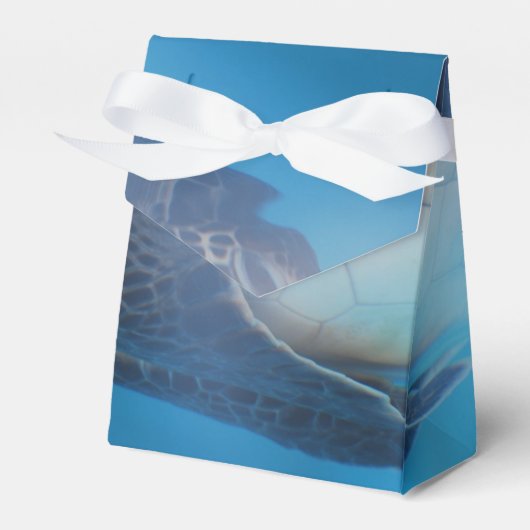 ウミガメ フェイバーボックス (正面サイド)