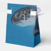 ウミガメ フェイバーボックス (裏面サイド)