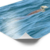 ウミガメ フォトプリント            (角)