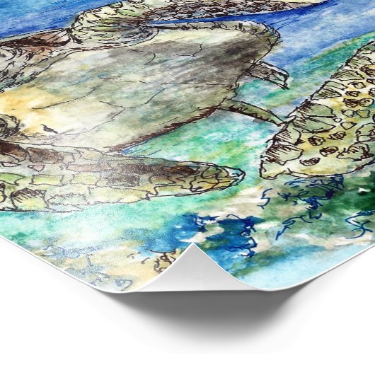 ウミガメ フォトプリント            (角)