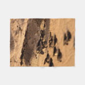 ウミガメ フリースブランケット (正面(横))