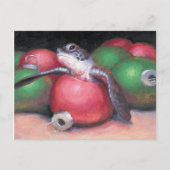 ウミガメ・フロリダクリスマスポストカード シーズンポストカード (正面)