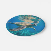 ウミガメ ペーパープレート (アングル)