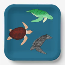 ウミガメ