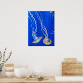 ウミガメ ポスター (キッチン)